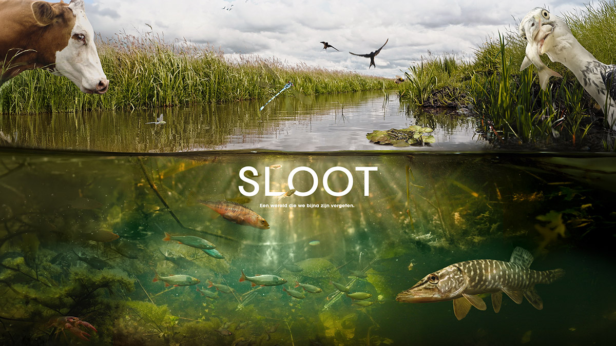 Filmposter SLOOT met dieren boven en onder de waterlijn