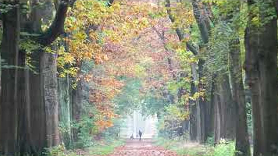 Herfstkleuren